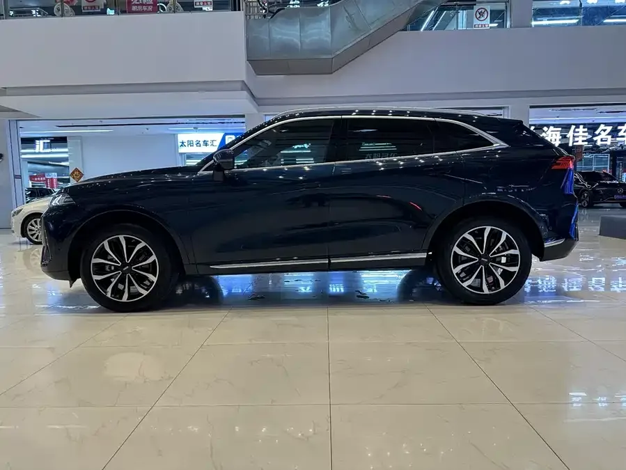 WEY Mocha Wei Mocha 2021 2.0T 2WD Special Edition 2022 — миниатюра 4