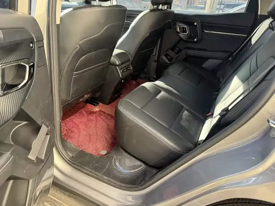 Haval Big Dog PLUS Haval Big Dog PLUS 2023 2.0T 4WD Trendy Plus 2024 — миниатюра 4