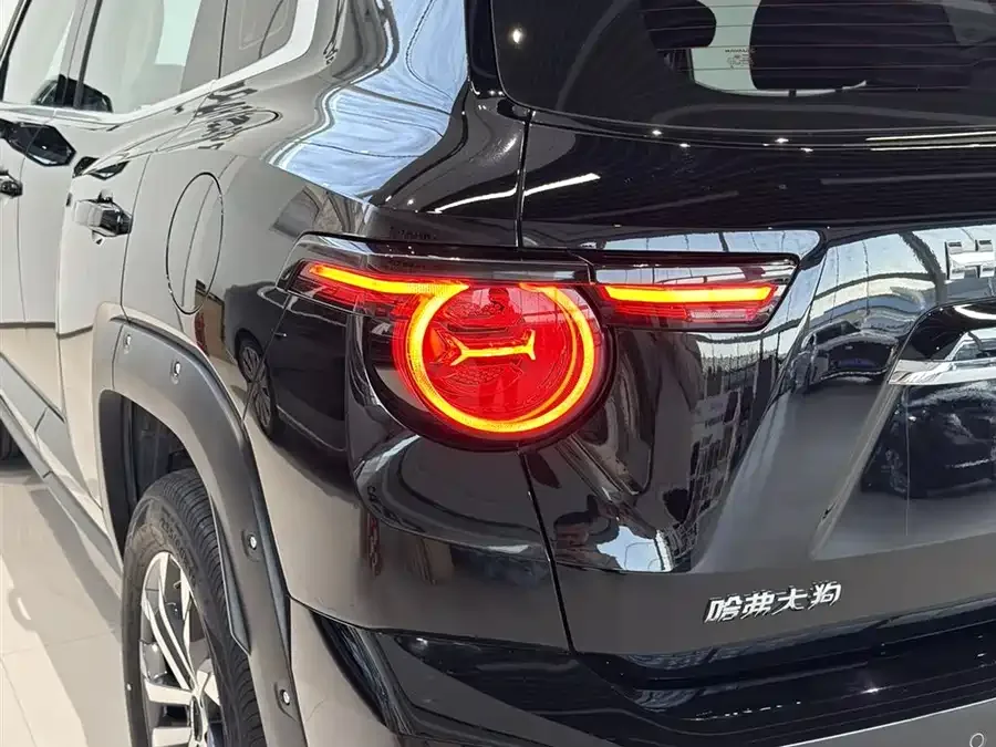 Haval Big Dog PLUS Haval Big Dog PLUS 2023 2.0T 2WD Trendy Wild Edition Plus 2025 — миниатюра 4