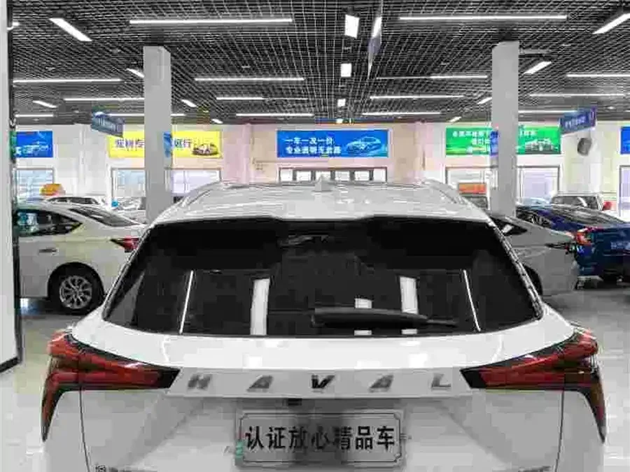 Haval Shenshou Haval Shenshou 2022 1.5T Zhizun Edition 2022 — миниатюра 2