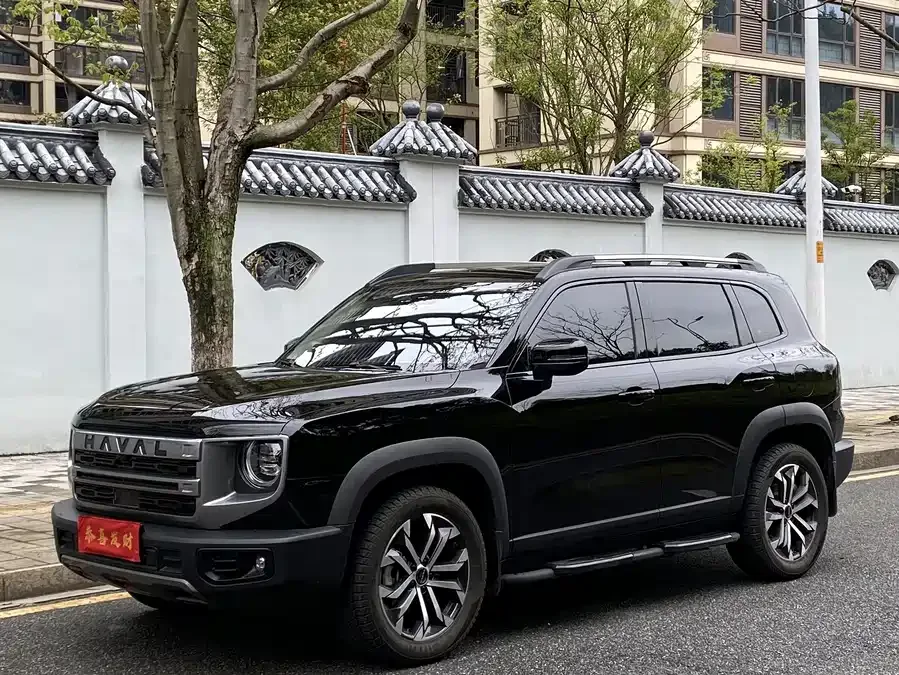 Haval Big dog Haval Big Dog 2024 1.5T DCT Border Collie Edition 2025 — фото 1, купить с доставкой в Москву