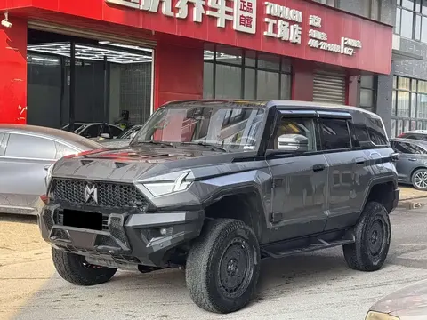 Mengshi 917 2023 купить в Москве