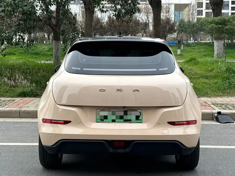 ORA good cat Euler Good Cat 2022 400km standard range premium lithium iron phosphate 2023 — миниатюра 5