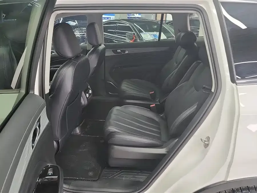 Ford Lingyu Lingyu 2021 EcoBoost 225 Platinum Collar 6 Seat 2022 — миниатюра 5