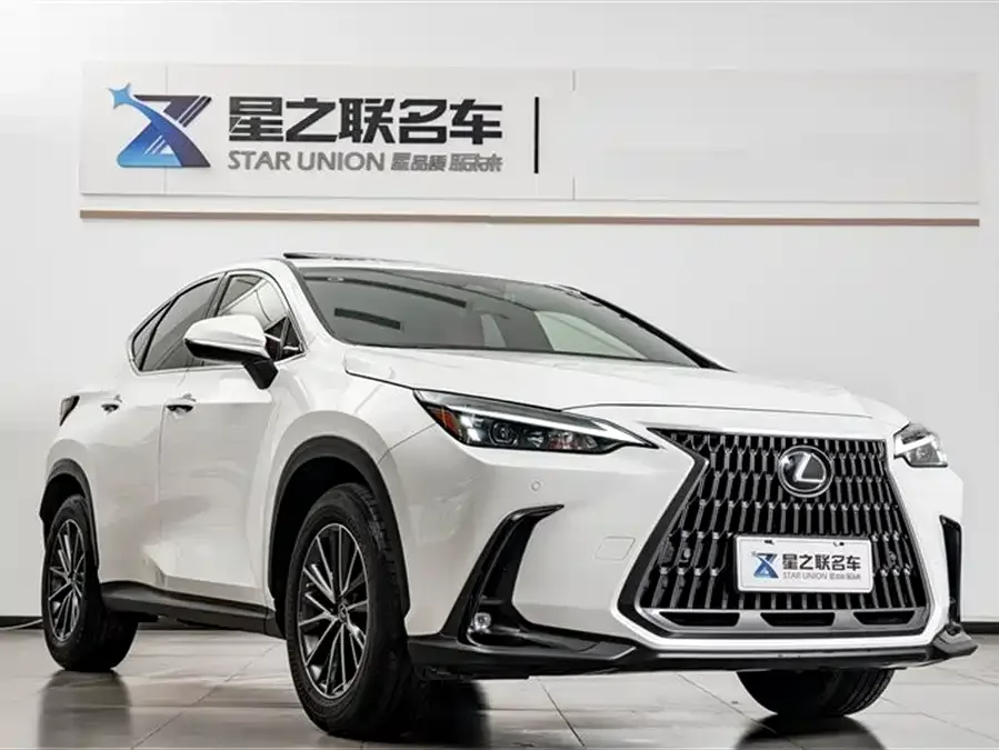 Lexus NX 2022 260 front-wheel drive Chuangyue Edition 2022 — миниатюра 2