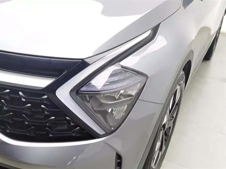 Kia Lion Platinum 2023 Lion Bo Tuojie 2.0T 2WD Premium Edition 2024 — миниатюра 4
