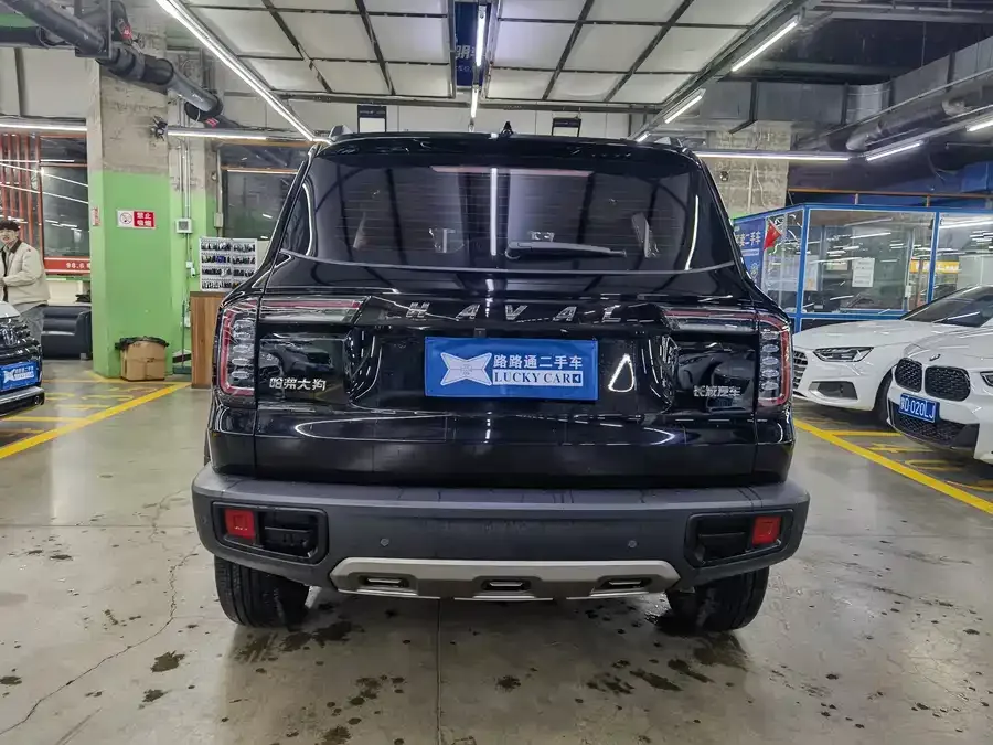Haval Big dog Haval Big Dog 2022 1.5T DCT 2WD Border Collie Edition 2022 — миниатюра 2