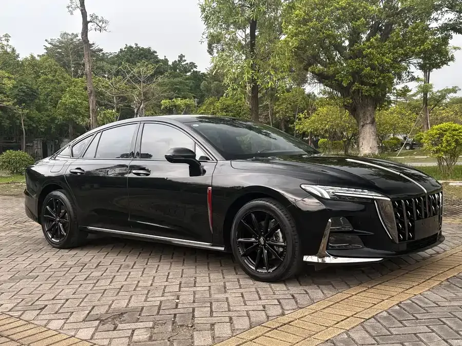 Hongqi H6 Hongqi H6 2023 2.0T Luxury Edition 2023 — миниатюра 3