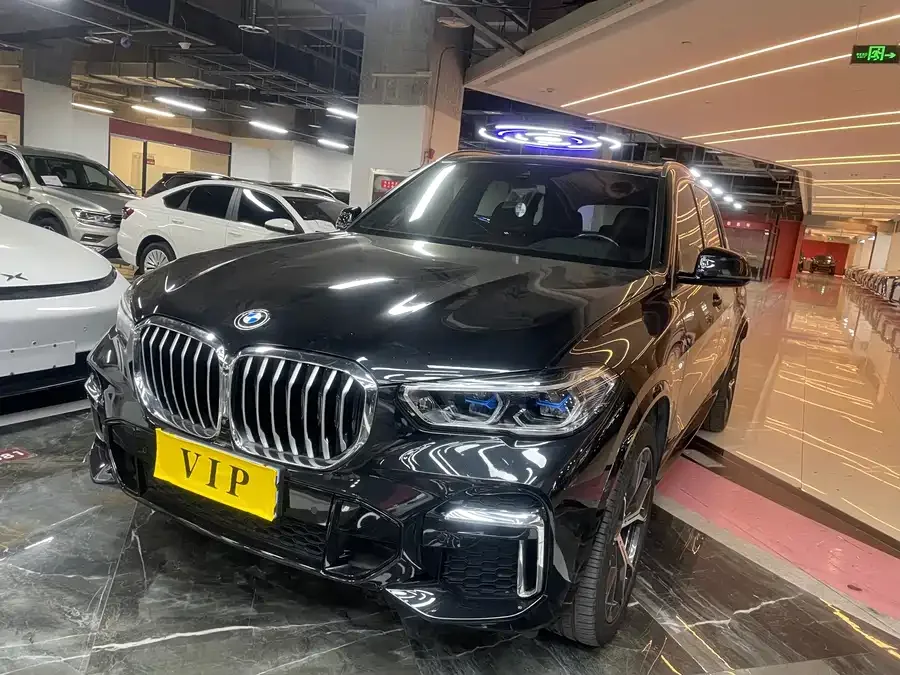 BMW X5 2022 xDrive 30Li Exclusive M Sport Package 2023 — фото 1, купить с доставкой в Москву