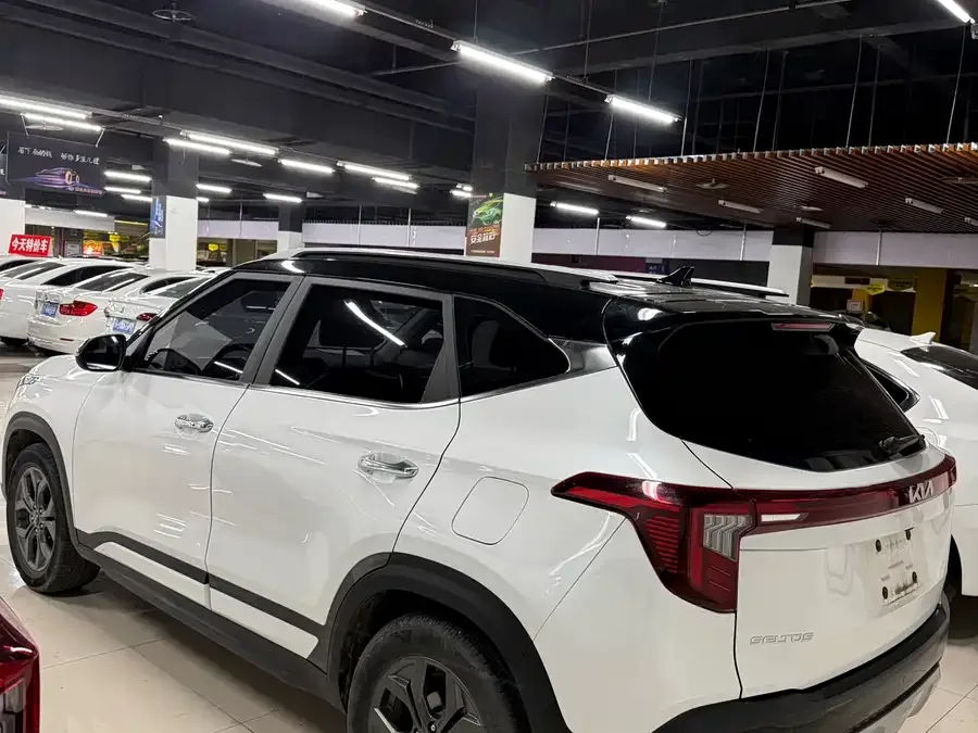 Kia Cyrus (Seltos) 2023 Certus 1.5L CVT Luxury Edition 2024 — миниатюра 2