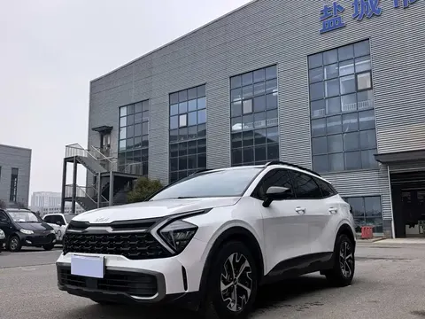 Kia Lion Platinum 2024 купить в Москве