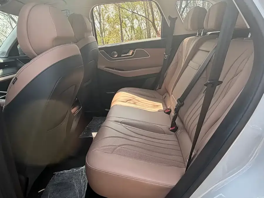 Chery Tiggo 8L Tiggo 8L 2024 2.0T 2WD Premium Edition 5 Seaters 2024 — миниатюра 2