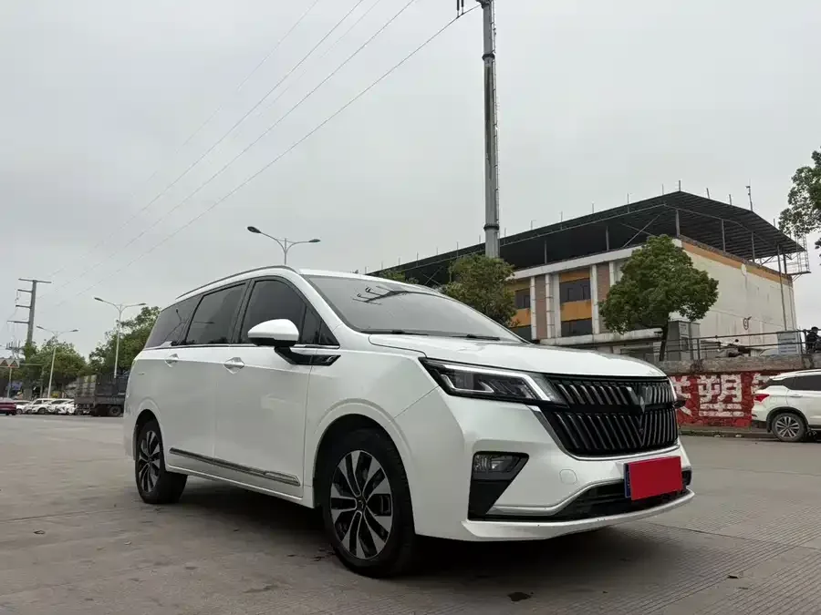Wuling Jiachen Wuling Jiachen 2023 2.0L DHT flagship model 2024 — фото 1, купить с доставкой в Москву