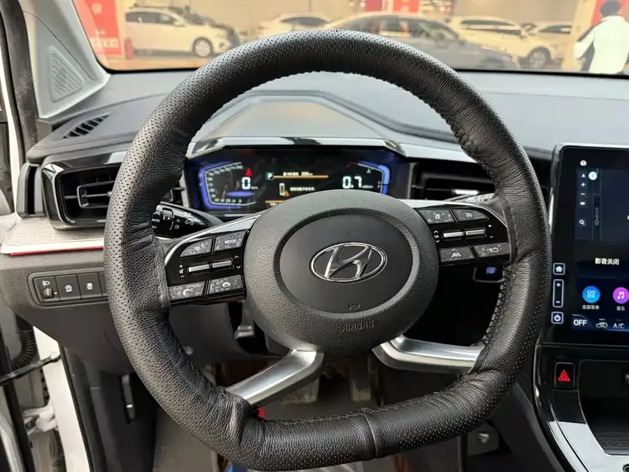 Hyundai Custo Kustu 2021 270TGDi Premium Edition LUX 2024 — миниатюра 4