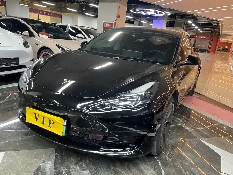 Tesla Model 3 Model 3 2023 rear-wheel drive version 2024 — фото 1, купить с доставкой в Москву