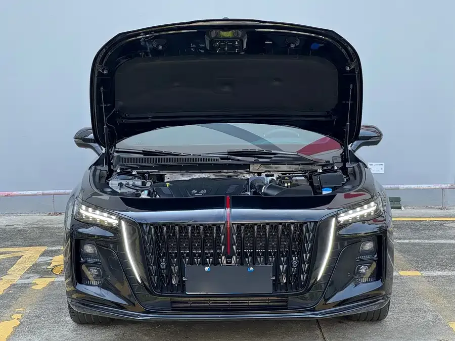 Hongqi H5 Hongqi H5 2025 2.0T Automatic Shadow Edition 2024 — миниатюра 4