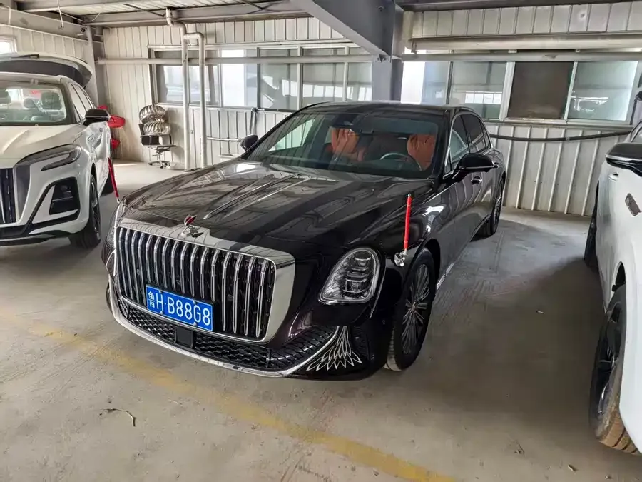 Hongqi Golden Sunflower Country Elegance Hongqi Golden Sunflower National Elegance 2024 3.0T V6 Edition 2025 — фото 1, купить с доставкой в Москву