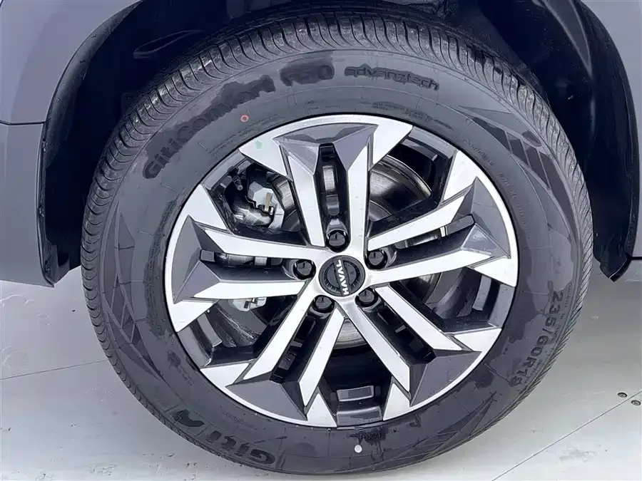 Haval Big dog Haval Big Dog 2026 2.0T DCT Chinese Rural Dog Edition 2026 — миниатюра 5