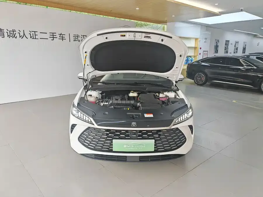 BYD Qin PLUS Qin PLUS 2025 DM-i Intelligent Driving Edition 120KM Beyond Edition 2025 — миниатюра 2