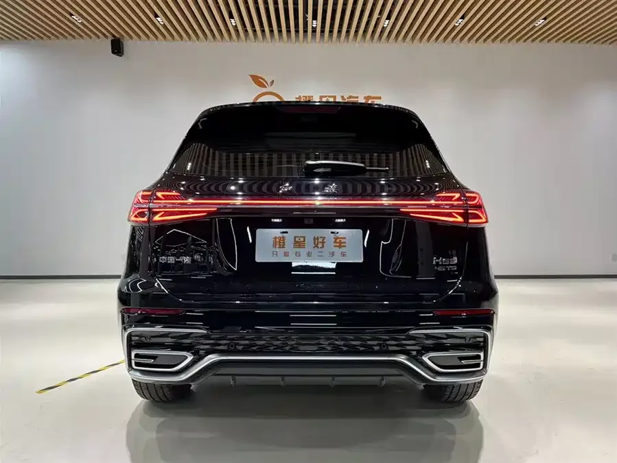 Hongqi HS5 Hongqi HS5 2025 2.0T 2WD Flagship Enjoy Pro Edition 2025 — миниатюра 2
