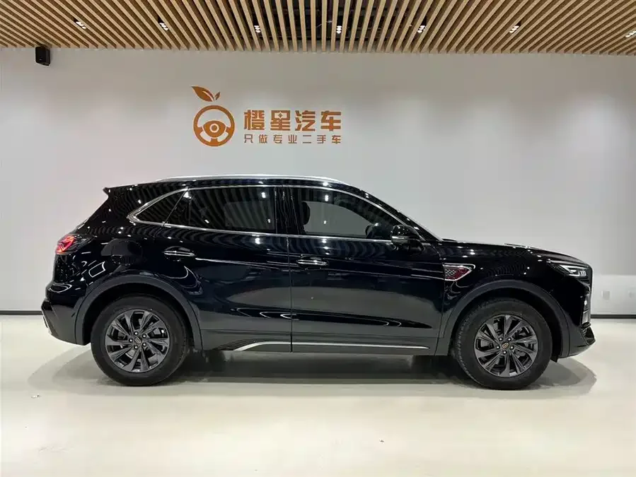 Hongqi HS5 Hongqi HS5 2025 2.0T 2WD Flagship Enjoy Pro Edition 2025 — миниатюра 3