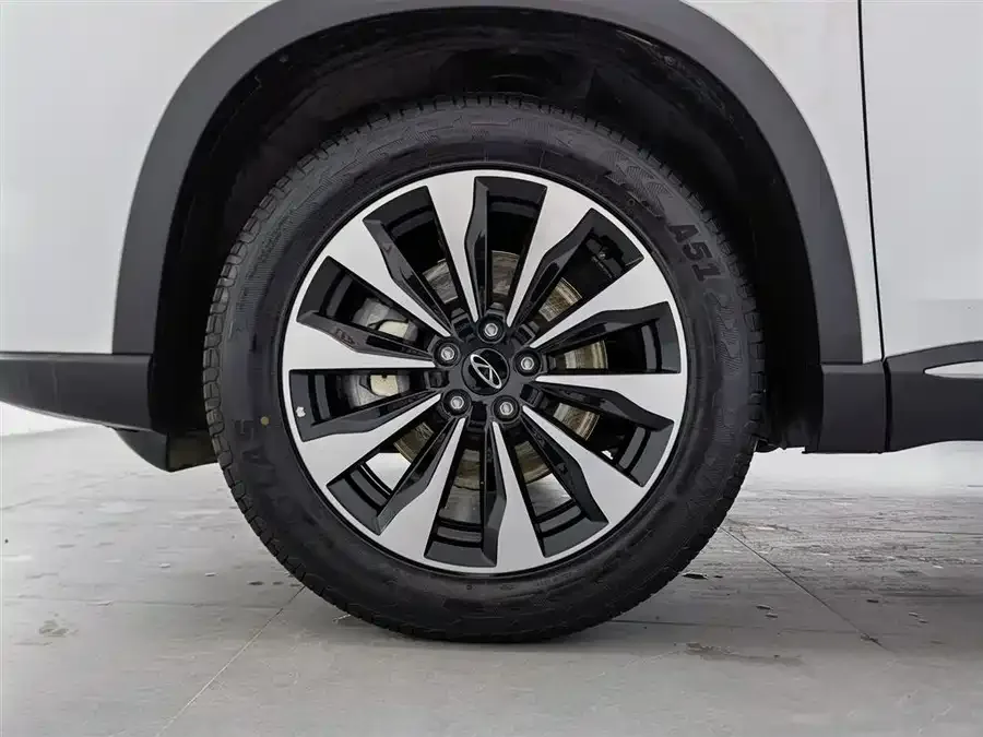 Chery Tiggo 8 PLUS Tiggo 8 PLUS 2025 290TGDI DCT Luxury Edition 2024 — миниатюра 5
