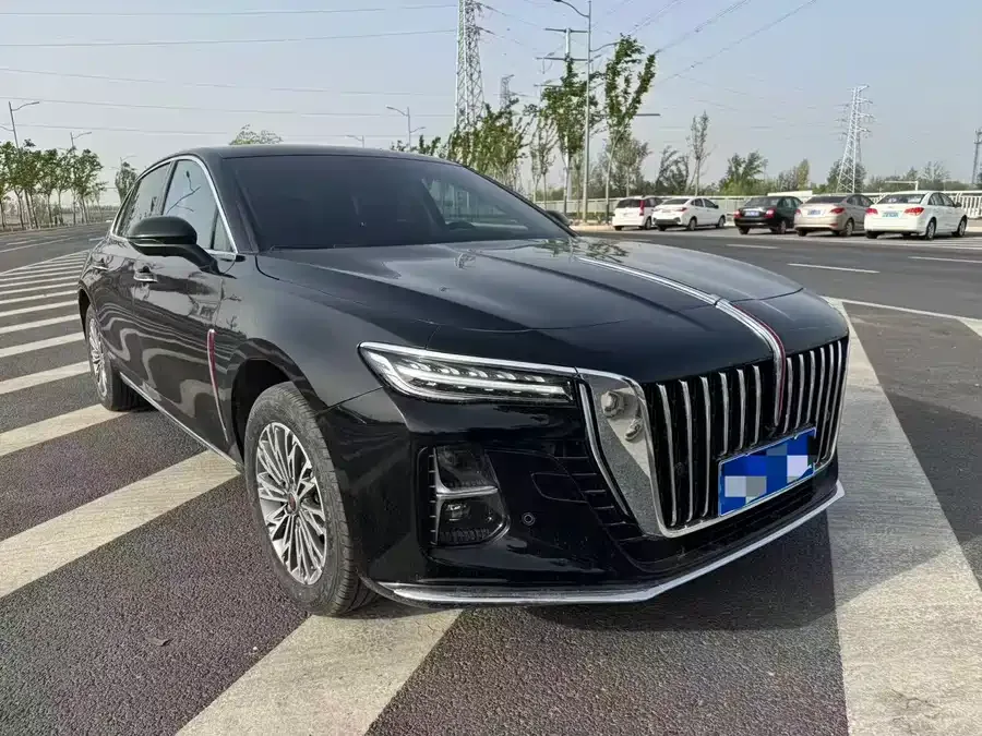 Hongqi H5 Hongqi H5 2025 1.5T DCT Flagship Edition 2025 — миниатюра 3