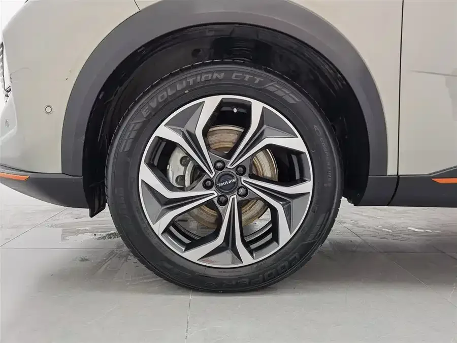 Haval Shenshou Haval Shenshou 2022 2.0T Zhizun 4WD Edition 2022 — миниатюра 5