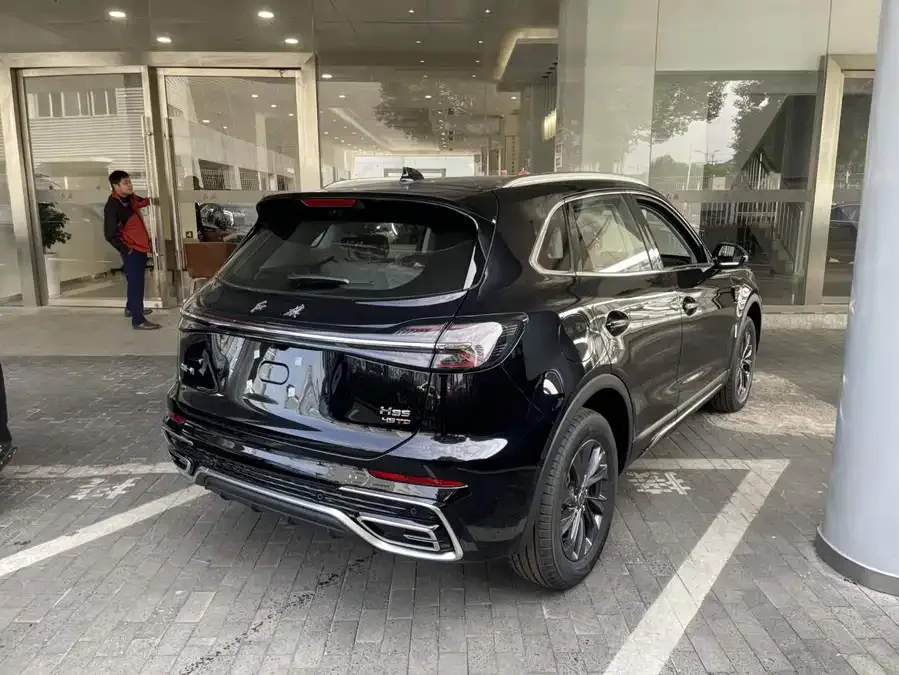Hongqi HS5 Hongqi HS5 2025 2.0T 2WD Flagship Enjoy Pro Edition 2025 — миниатюра 3