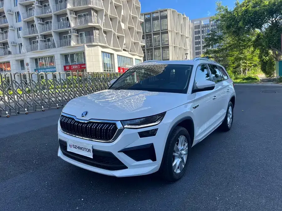 Skoda Kodiaq Kodiak 2024 TSI330 5-seater two-wheel drive powerful version 2024 — фото 1, купить с доставкой в Москву