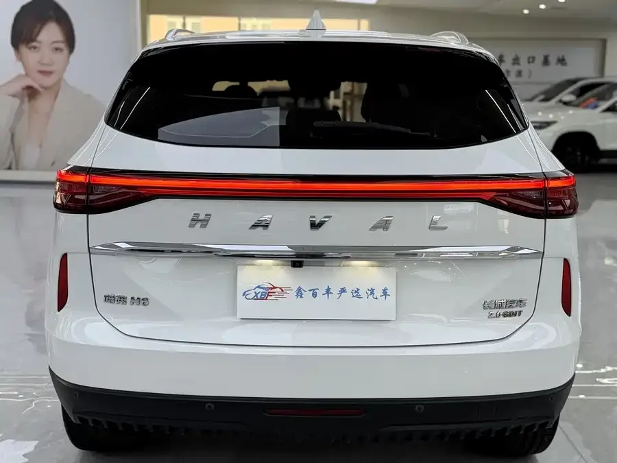 Haval H6 Haval H6 2021 third generation 2.0T automatic two-wheel drive Max 2022 — миниатюра 3