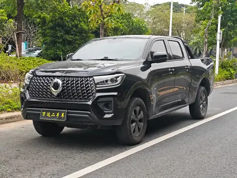 Great Wall gun 2024 купить в Москве