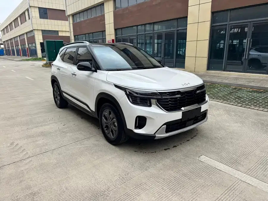 Kia Cyrus (Seltos) 2023 Certus 1.5L CVT Luxury Edition 2024 — миниатюра 3