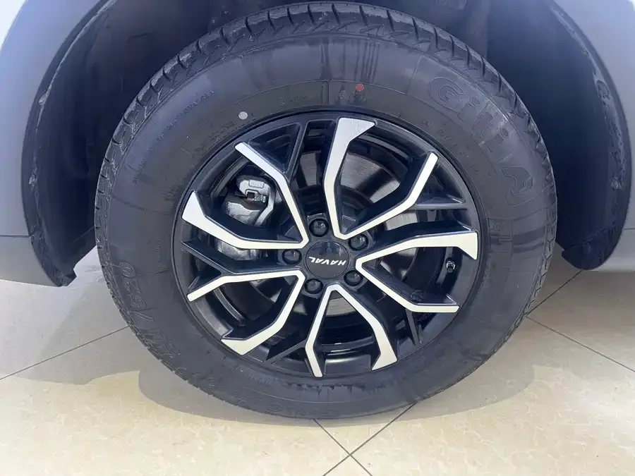 Haval H6 Haval H6 2021 1.5T Automatic Champion Edition 2022 — миниатюра 5