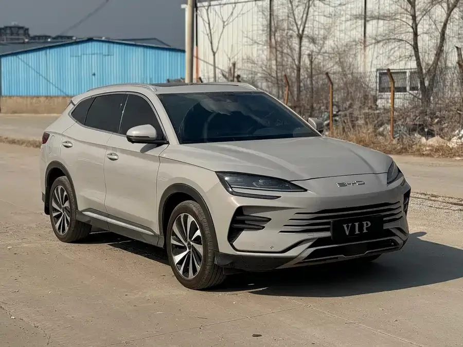 BYD Song PLUS New Energy Song PLUS New Energy 2023 Champion Edition DM-i 110KM Flagship PLUS 2023 — фото 1, купить с доставкой в Москву