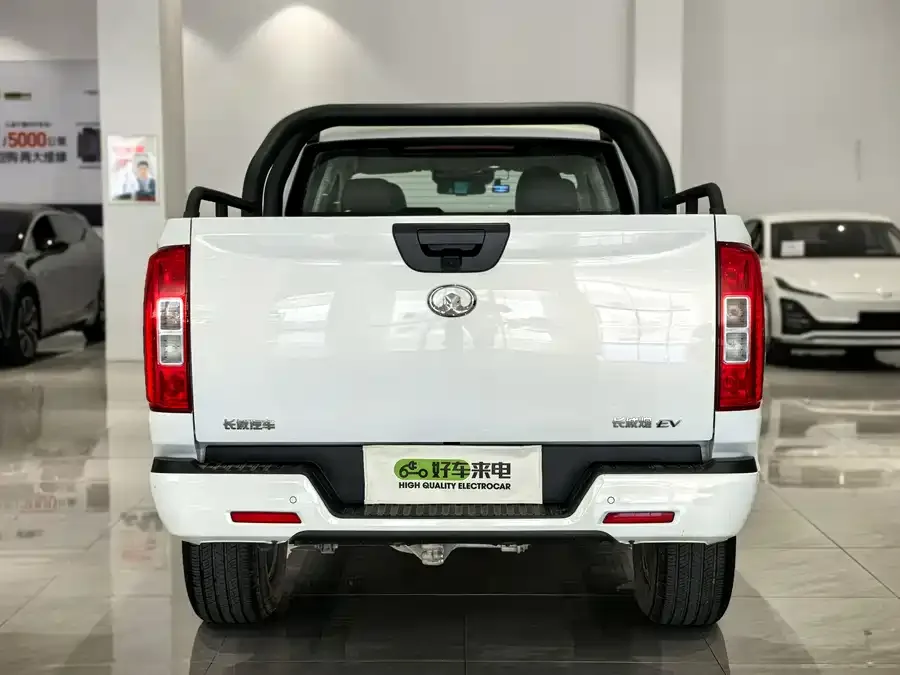 Great Wall new energy vehicles 2021 Cannon New Energy Commercial Elite Double Duplex 2023 — миниатюра 2