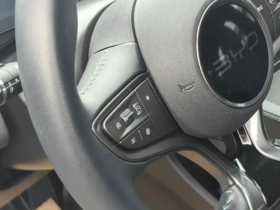 BYD Seal 06 Seal 06 2024 DM-i 80KM Premium 2024 — миниатюра 4