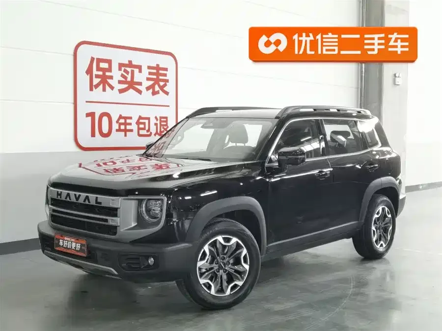Haval Big dog Haval Big Dog 2024 2.0T DCT Chinese Pastoral Dog Edition 2024 — фото 1, купить с доставкой в Москву