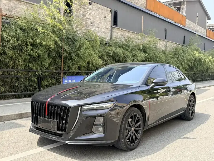 Hongqi H5 Hongqi H5 2025 2.0T Automatic Shadow 2 Millionth Commemorative Edition 2025 — фото 1, купить с доставкой в Москву