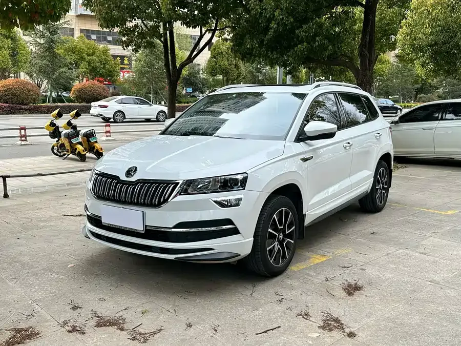 Skoda Karoq Korok 2023 TSI280 Luxury Edition 2023 — фото 1, купить с доставкой в Москву