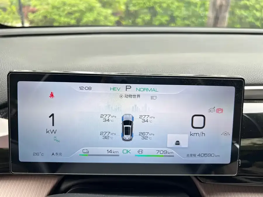 BYD Song Pro New Energy Song Pro New Energy 2023 Champion Edition DM-i 110KM Excellence 2024 — миниатюра 3
