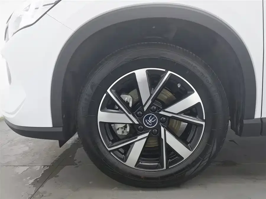 BYD Song Pro New Energy Song Pro New Energy 2024 Honor Edition DM-i 71KM Pilot Edition 2024 — миниатюра 5