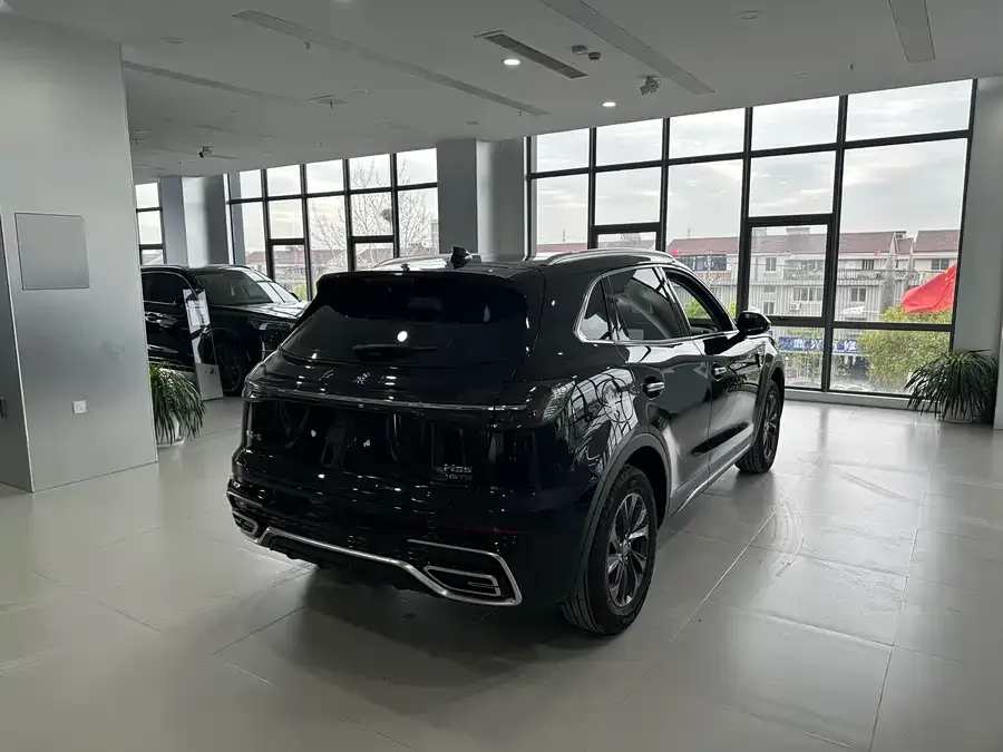 Hongqi HS5 Hongqi HS5 2025 2.0T 2WD 600,000th Commemorative Edition 2026 — миниатюра 3