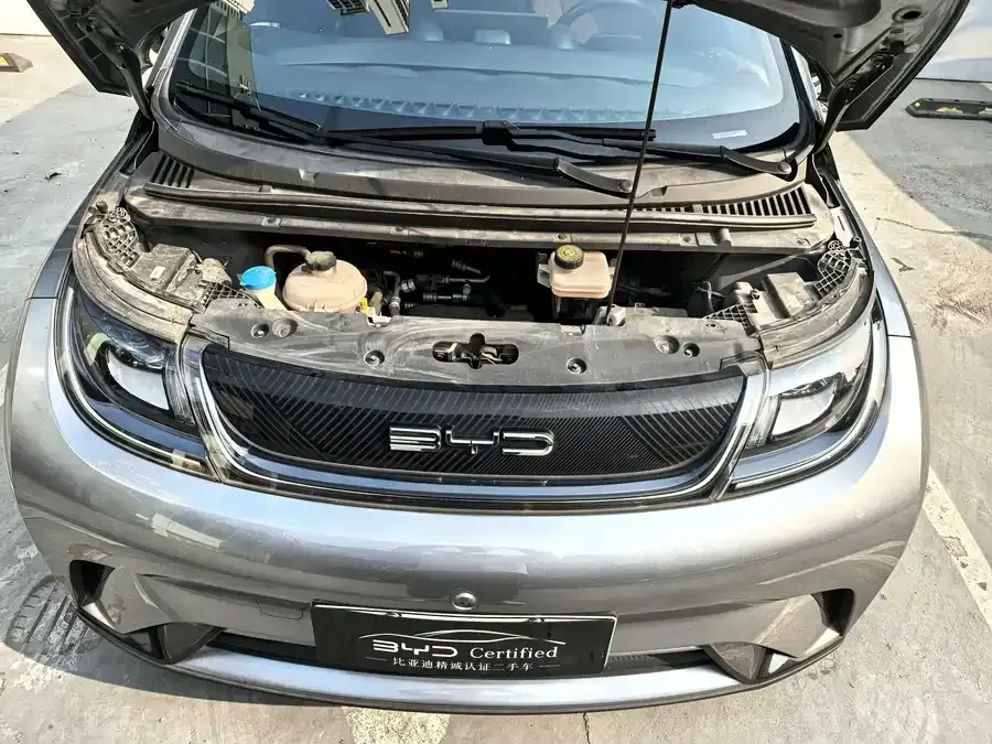 BYD Dolphin Dolphin 2023 420km Freedom Edition 2023 — миниатюра 5
