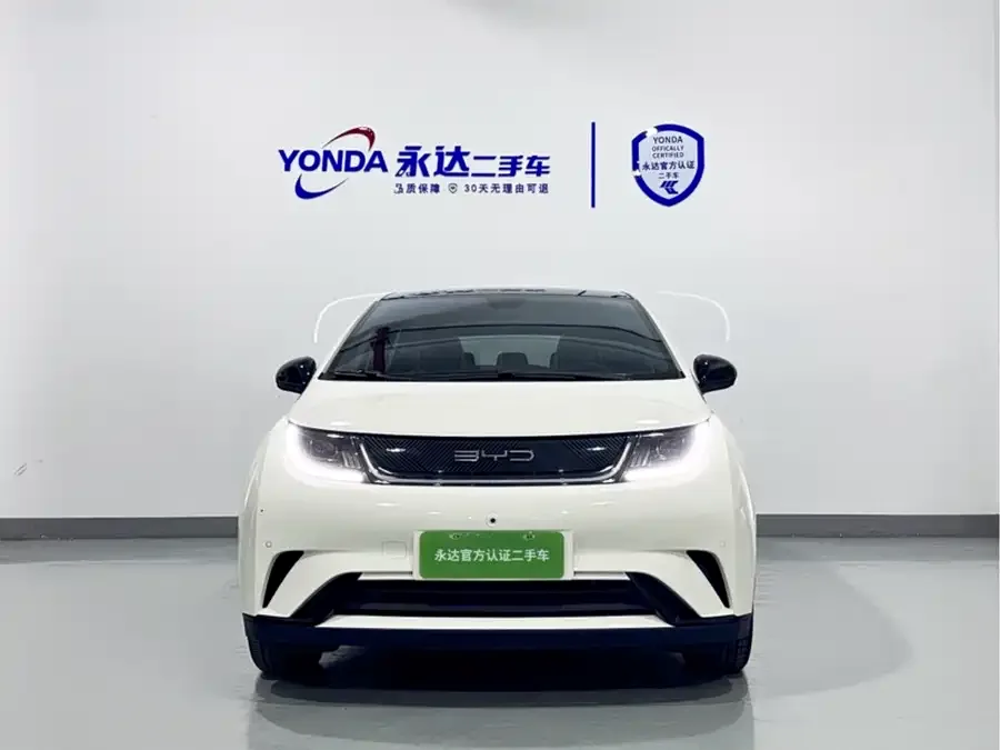 BYD Dolphin Dolphin 2023 420km Fashion Edition 2023 — миниатюра 2