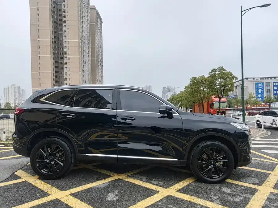Haval H6 Haval H6 2021 third generation 2.0T automatic two-wheel drive Max 2022 — миниатюра 3