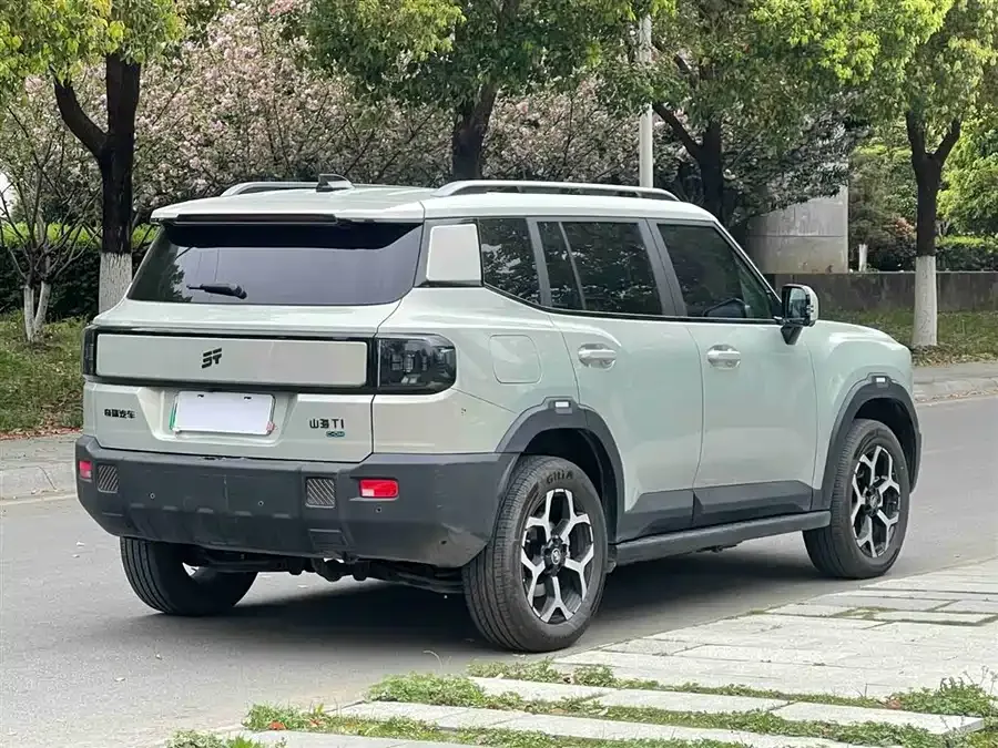 Jetour T1 Jetour Shanhai T1 2024 150km Seaward 2024 — миниатюра 4