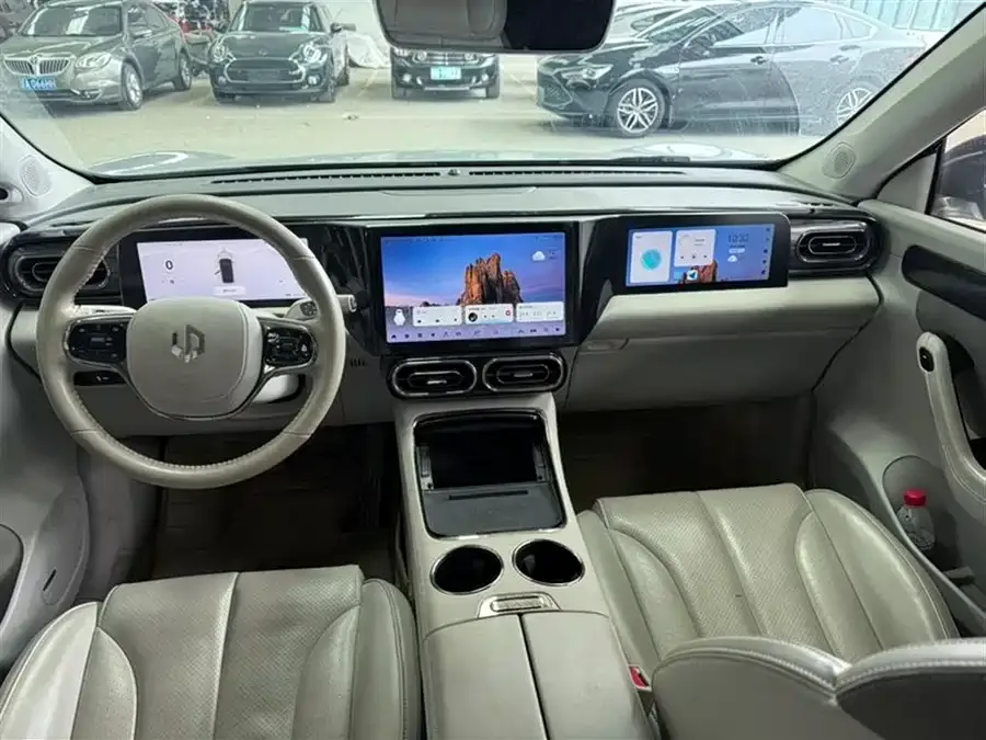Leapmotor C11 Leapmoo C11 2021 Exclusive Edition 2022 — миниатюра 3
