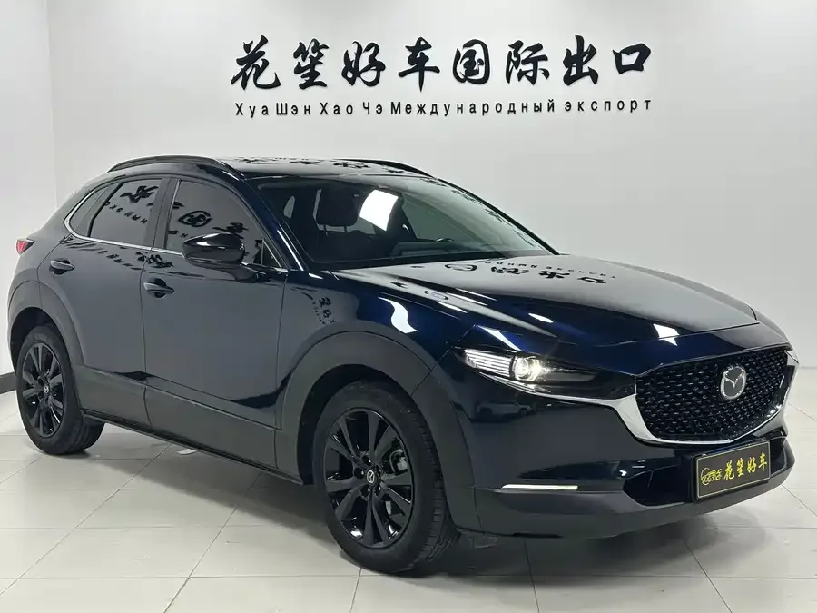 Mazda CX-30 2022 2.0L Automatic Elegance Black Edition 2022 — миниатюра 3