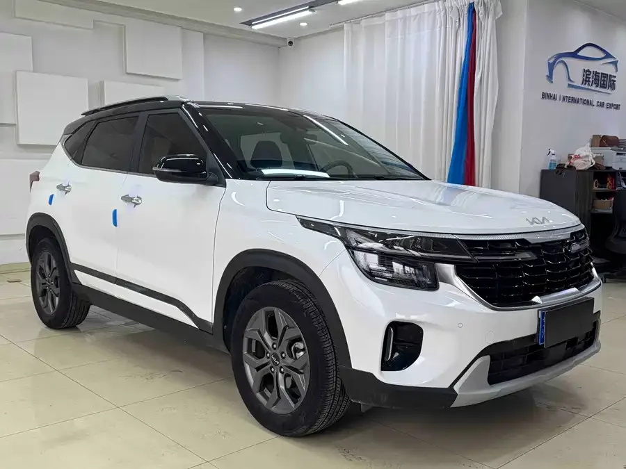 Kia Cyrus (Seltos) 2023 Certus 1.5L CVT Luxury Edition 2023 — миниатюра 3